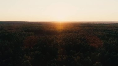Aerial view of forest and sun in sunset sky 