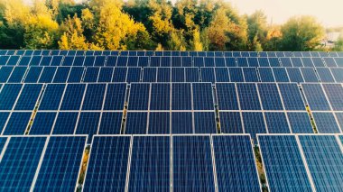 Aerial view of solar panels system near trees 