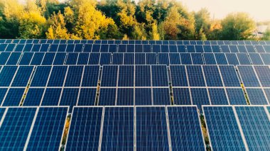 Aerial view of solar panels system near trees  clipart