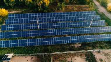 Aerial view of solar panels system near trees 