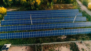 Aerial view of solar panels system near trees 