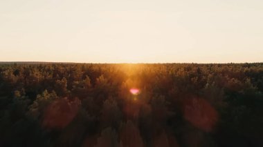 Aerial view of forest and sunset sky 