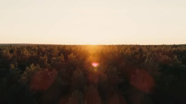 Aerial view of forest and sunset sky 