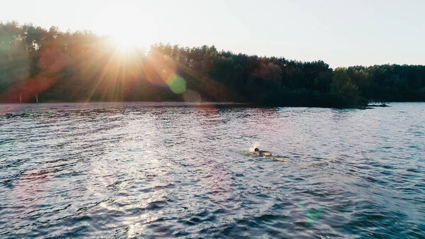 Scenic view of river and forest at sunset 