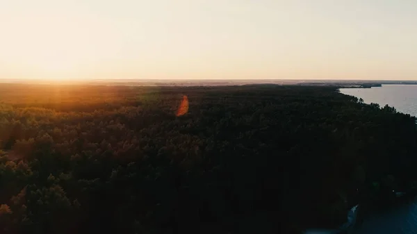 Aerial view of forest and river at sunset 