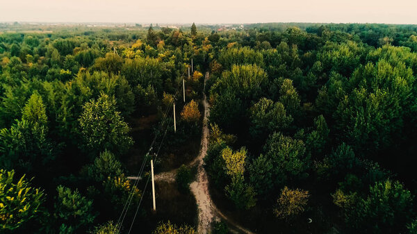 Aerial view of power lines in green forest 