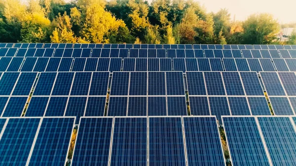 Vista Aérea Del Sistema Paneles Solares Cerca Los Árboles —  Fotos de Stock