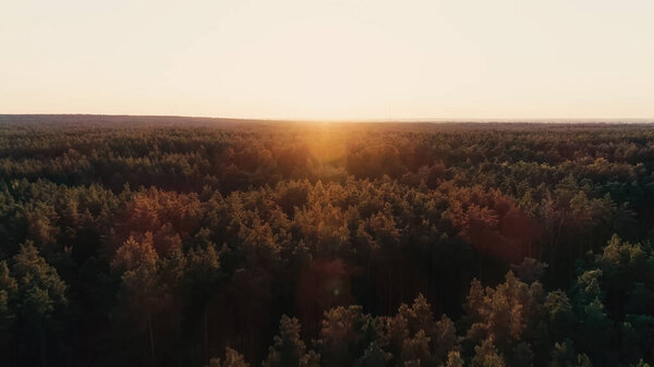 Aerial view of forest and sky at sunset 