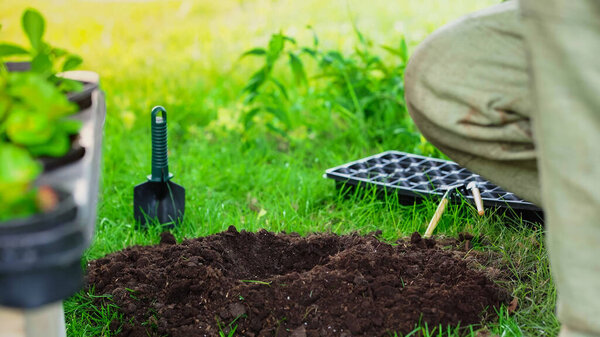 Cropped view of gardener near soil and blurred plaints in garden 