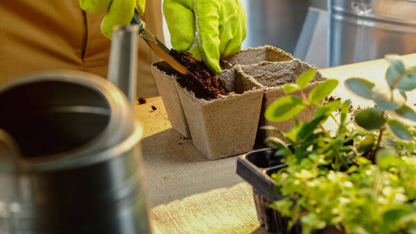 Cropped view of gardener pouring soil in pot near blurred plants on table 