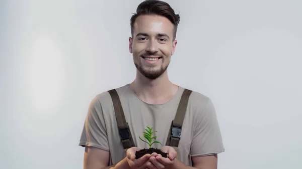Smiling Gardener Holding Soil Plant Grey Background — Fotografia de Stock