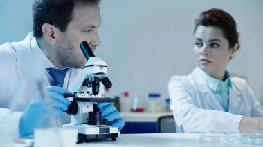scientist making analysis with microscope near pretty colleague sitting in laboratory