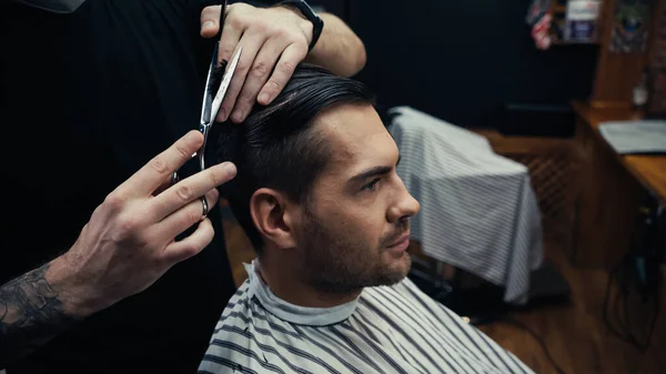 Tattooed barber cutting hair of man in hairdressing cape in salon