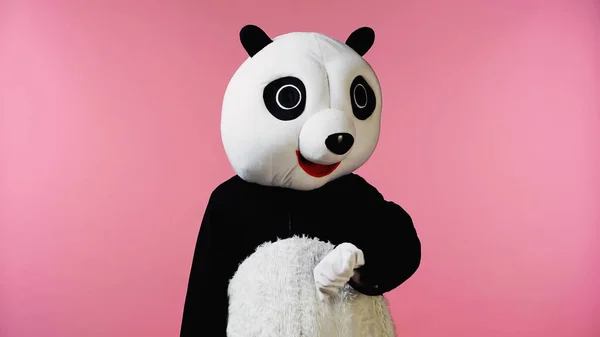 Людина в костюмі ведмедя панди жестикулює під час очікування ізольована на рожевому — стокове фото