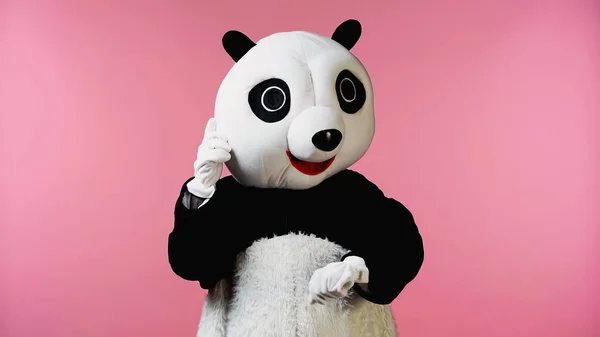 Persona in costume panda orso gesticolando guardando mano isolata su rosa — Foto stock