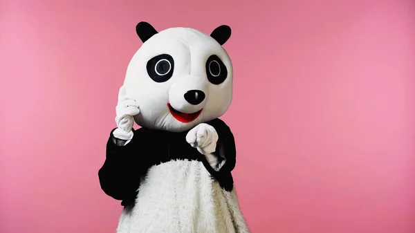 Persona en traje de oso panda apuntando con el dedo a la cámara aislada en rosa - foto de stock