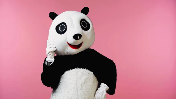 Persona en traje de oso panda feliz de pie aislado en rosa - foto de stock