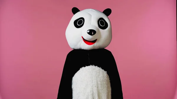 Persona en traje de oso panda blanco y negro aislado en rosa - foto de stock