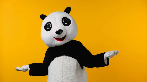 Confundido persona en traje de oso panda mostrando gesto de encogimiento aislado en amarillo - foto de stock