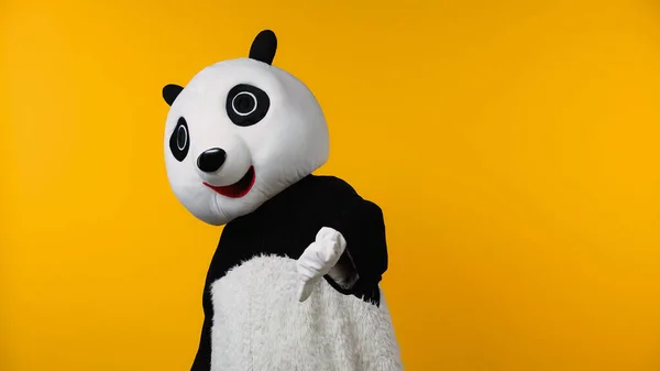Person in panda bear costume showing dislike isolated on yellow — Stock Photo