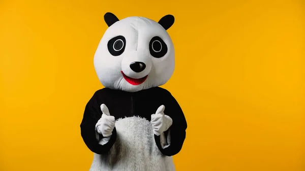 Pessoa no traje de urso panda feliz mostrando polegares isolados no amarelo — Fotografia de Stock