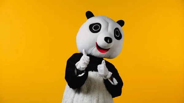 Persona in costume positivo panda orso mostrando pollici in su isolato sul giallo — Foto stock