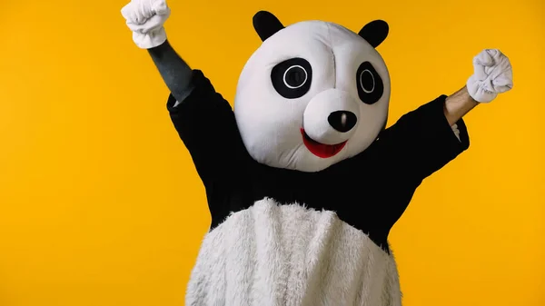 Aufgeregter Mensch im Pandabären-Kostüm jubelt isoliert auf gelb — Stockfoto