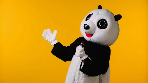 Persona en traje de oso panda feliz hablando en micrófono aislado en amarillo - foto de stock