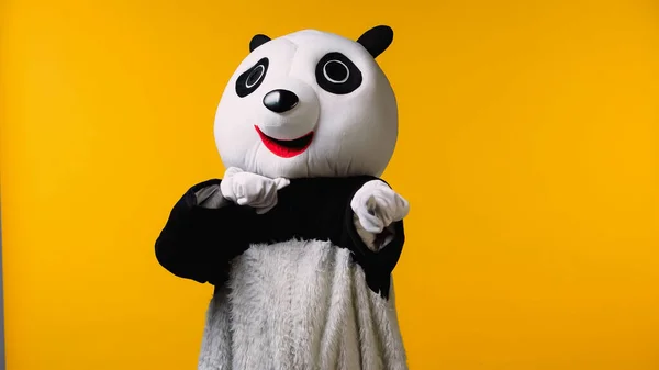 Persona in costume panda orso minacciando isolato su giallo — Foto stock