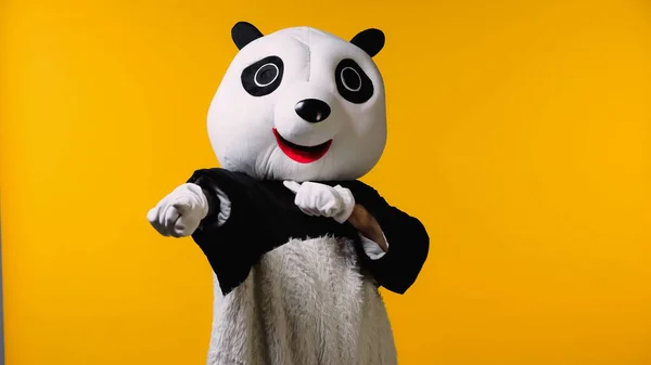 Persona in costume panda orso minaccioso mentre indica la fotocamera isolata sul giallo — Foto stock