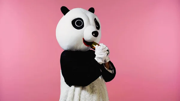 Persona en traje de oso panda beber vino de botella aislado en rosa - foto de stock