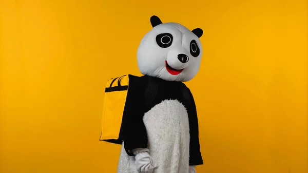 Person in panda bear costume with backpack isolated on yellow — Stock Photo