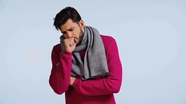 Hombre enfermo en suéter rosa y bufanda tos aislado en azul - foto de stock