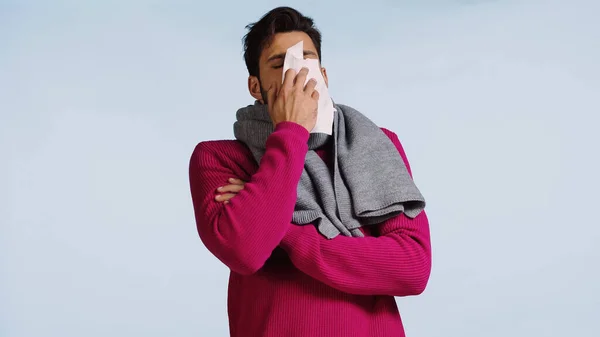 Uomo malato in maglione rosa e sciarpa starnuti in tovagliolo isolato su blu — Foto stock