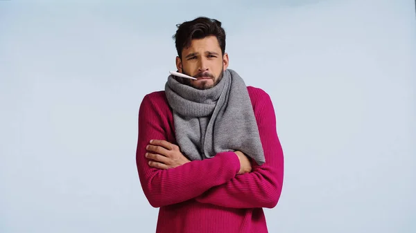 Uomo malato in maglione rosa e sciarpa in piedi con braccia incrociate mentre misura la temperatura isolata sul blu — Foto stock