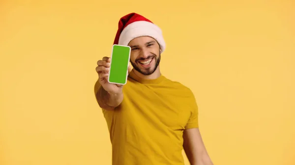 Pleased man in santa hat holding smartphone with green screen isolated on yellow — стоковое фото