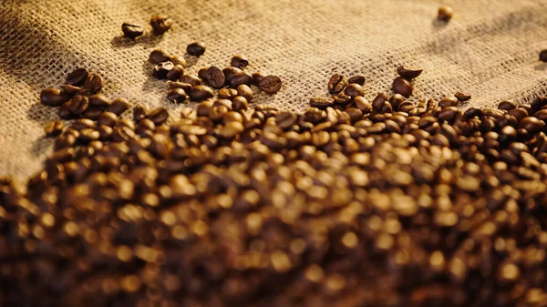 Close up of fresh coffee beans on canvas — Foto stock