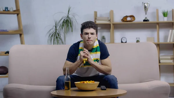 Концентрированный молодой человек в полосатом шарфе сидит на диване рядом с пивом и чипсами во время спортивного матча — стоковое фото