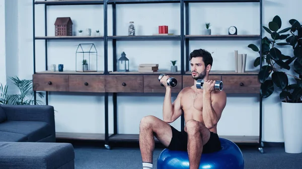 Shirtless young sportsman exercising with heavy dumbbells on fitness ball at home — Stock Photo