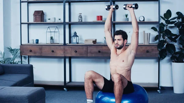 Sin camisa joven deportista sosteniendo pesadas mancuernas por encima de la cabeza y sentado en la pelota de fitness en casa - foto de stock