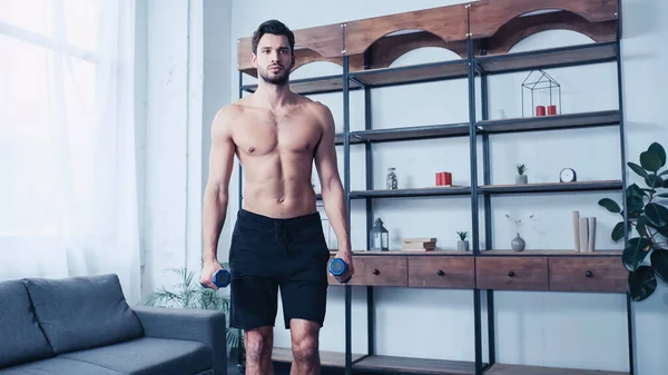 Homem muscular no treinamento de shorts com halteres pesados perto do sofá — Fotografia de Stock