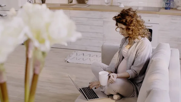 Молода вагітна жінка використовує ноутбук і тримає чашку вдома — стокове фото