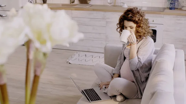 Беременная женщина пьет чай и пользуется ноутбуком дома — стоковое фото