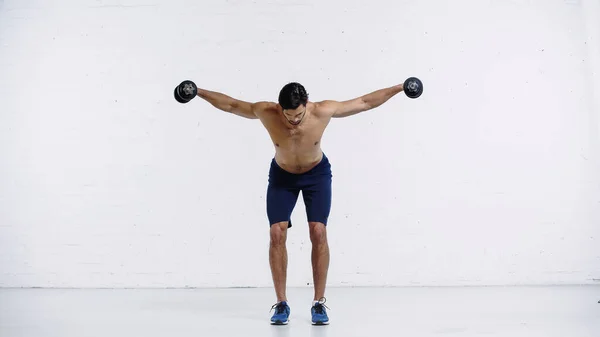 Full length of shirtless man in shorts and sneakers training with dumbbells on white — стоковое фото