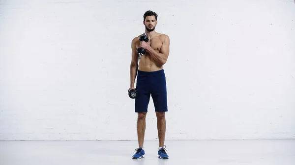 Full length of sportive and shirtless man in shorts and sneakers working out with dumbbells on white — Stock Photo