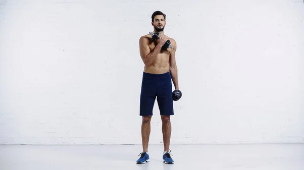 Longitud completa de hombre deportivo en pantalones cortos y zapatillas de deporte haciendo ejercicio con mancuernas en blanco - foto de stock