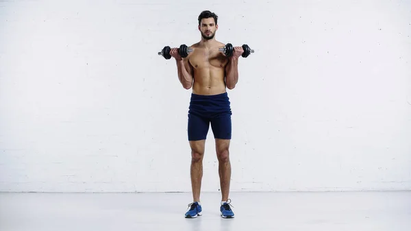 Full length of sportive and shirtless man in shorts and sneakers working out with dumbbells against white brick wall — Fotografia de Stock