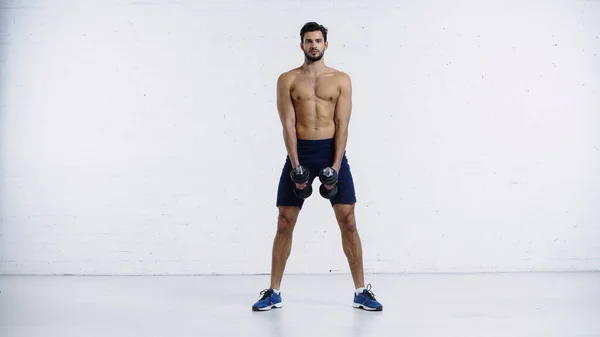 Full length of sportive and shirtless man in shorts and sneakers standing with dumbbells against white brick wall — стоковое фото