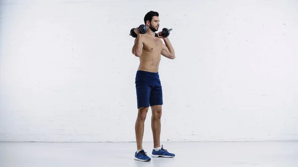 Full length of sportive and shirtless man in shorts working out with dumbbells against white brick wall — Foto stock