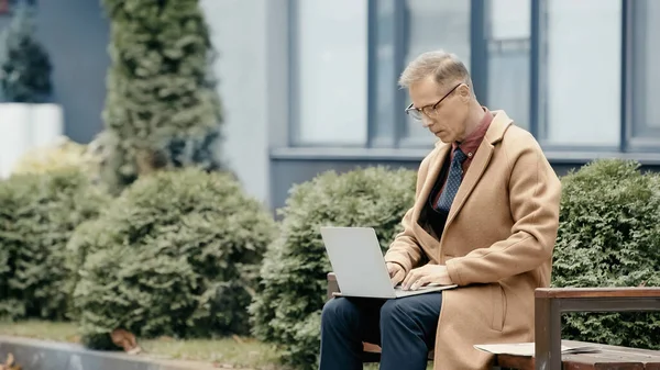 Businessman in coat using laptop near newspaper on bench outdoors — Fotografia de Stock